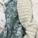 Aden + Anais essentials 嬰兒棉紗包巾 4pcs - Dino Jungle