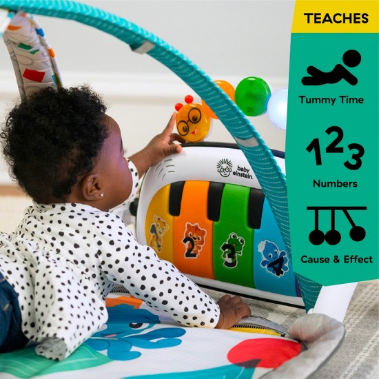 Baby Einstein 四合一動感音樂探索遊戲墊