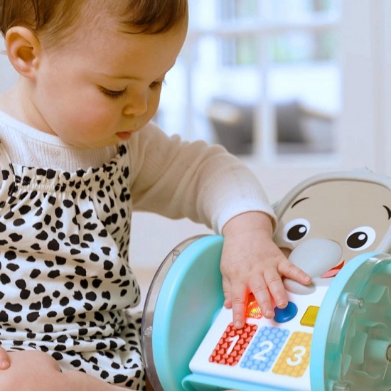 Baby Einstein CHASE & TAP EARL 爬行玩具