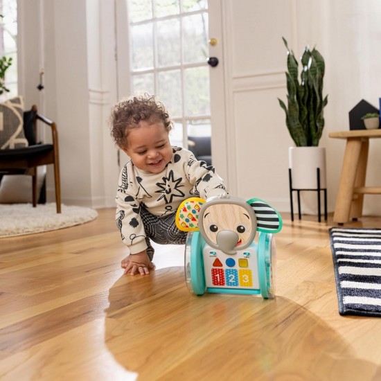 Baby Einstein CHASE & TAP EARL 爬行玩具