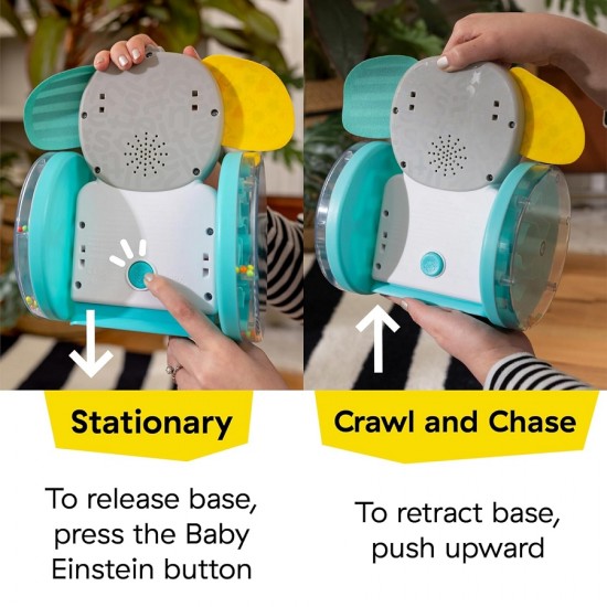 Baby Einstein CHASE & TAP EARL 爬行玩具