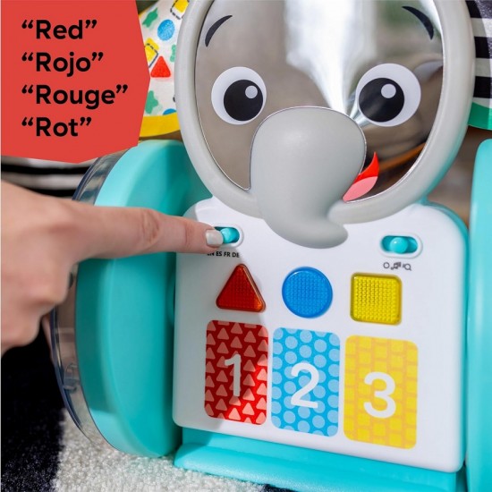 Baby Einstein CHASE & TAP EARL 爬行玩具