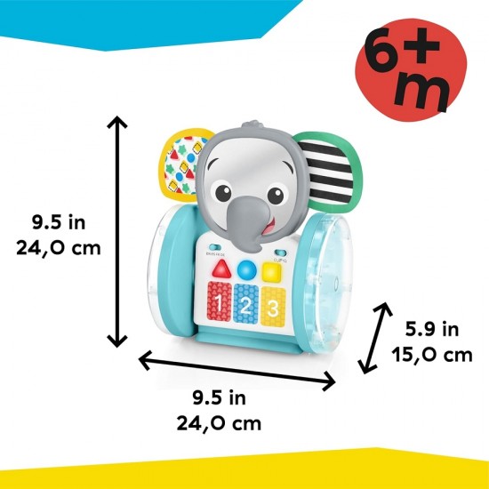Baby Einstein CHASE & TAP EARL 爬行玩具