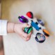 Baby Einstein 感官玩具