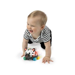 Baby Einstein 搖鈴好奇玩具車 - 斑馬 ZEN