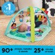 Baby Einstein 農場探險家 4 合 1 動感音樂語言探索遊戲墊