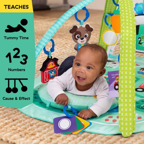 Baby Einstein 農場探險家 4 合 1 動感音樂語言探索遊戲墊