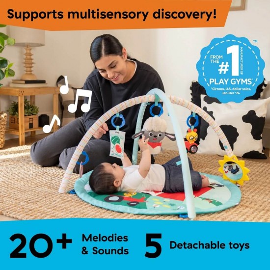 Baby Einstein 農場探險家活動墊