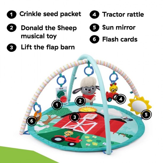 Baby Einstein 農場探險家活動墊