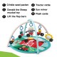Baby Einstein 農場探險家活動墊