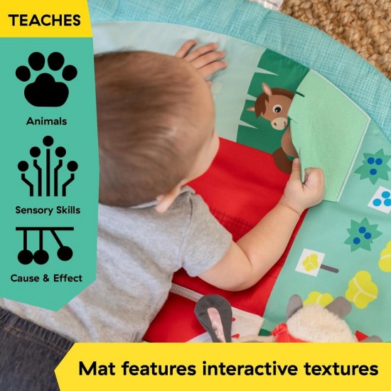 Baby Einstein 農場探險家活動墊