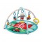 Baby Einstein 農場探險家活動墊