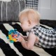 Baby Einstein 搖鈴好奇海龜玩具車