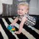 Baby Einstein 搖鈴好奇海龜玩具車