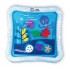 Baby Einstein Opus’S 探索海洋趴趴水墊