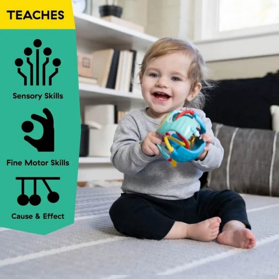 Baby Einstein 搖鈴與感官遊戲球