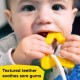 Baby Einstein 海洋感官牙膠