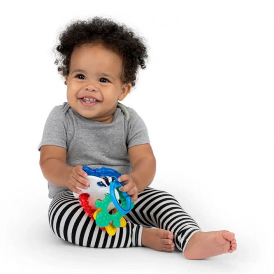 Baby Einstein 海洋感官牙膠