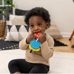 Baby Einstein  形狀及牙膠玩具 - 斑馬