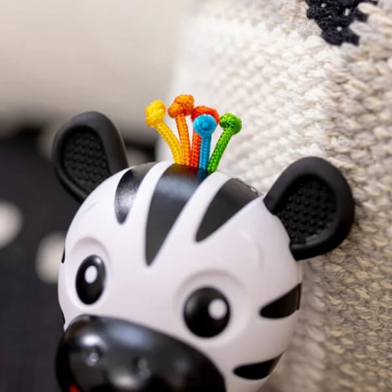 Baby Einstein  形狀及牙膠玩具 - 斑馬