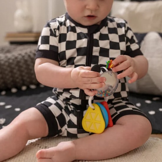 Baby Einstein  形狀及牙膠玩具 - 斑馬