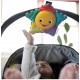 Baby Einstein 星星交響曲隨身手握玩具 