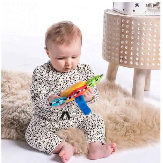 Baby Einstein 星星交響曲隨身手握玩具 