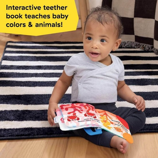 Baby Einstein 牙膠布圖書 - Shades at the Sea