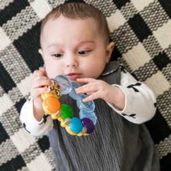 Baby Einstein 牙膠毛毛蟲手搖玩具