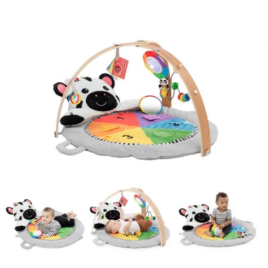 Baby Einstein 小斑馬活動里程遊戲墊