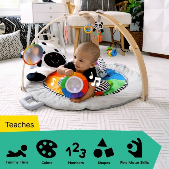 Baby Einstein 小斑馬活動里程遊戲墊