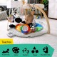 Baby Einstein 小斑馬活動里程遊戲墊