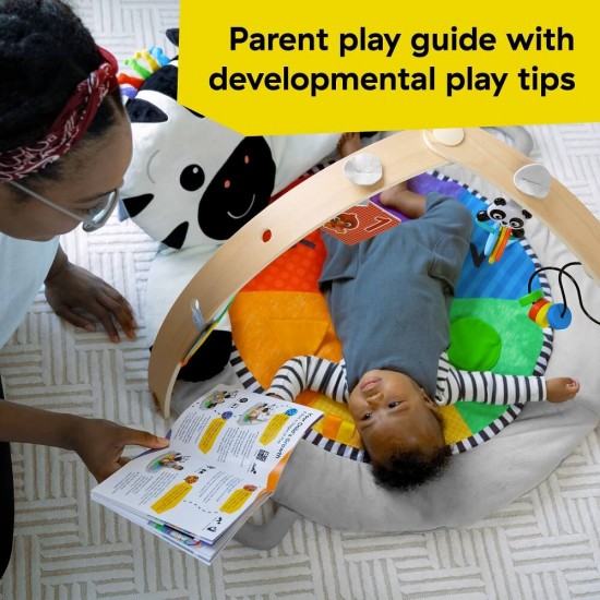 Baby Einstein 小斑馬活動里程遊戲墊