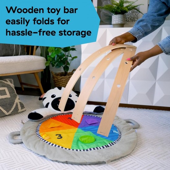 Baby Einstein 小斑馬活動里程遊戲墊