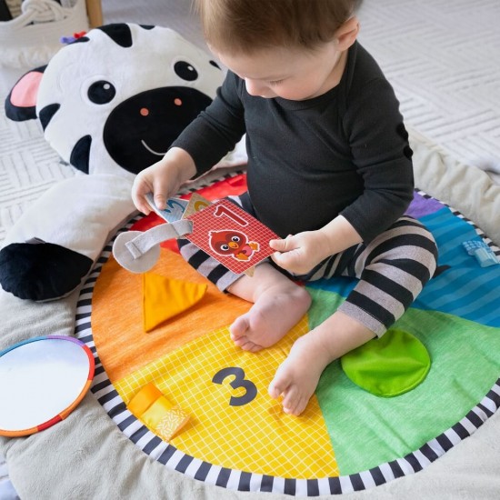 Baby Einstein 小斑馬活動里程遊戲墊