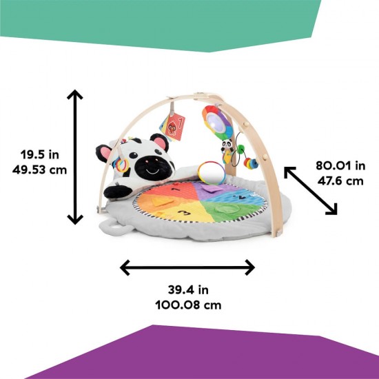 Baby Einstein 小斑馬活動里程遊戲墊