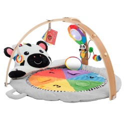 Baby Einstein 小斑馬活動里程遊戲墊