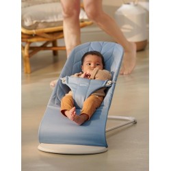 Babybjorn 嬰兒搖椅 Bliss Cotton - Blue Petal Quilt