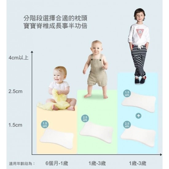 b&h 親水棉幼童塑型枕頭連枕套 (6個月至7歲) - 樹熊