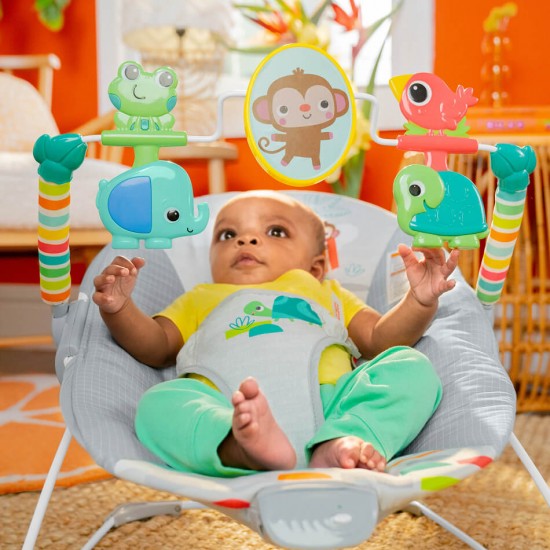 Bright Starts Playful Paradise 震動嬰兒搖椅