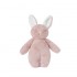 Bubble Lulabelle The Bunny