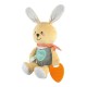 Chicco 抱抱小兔