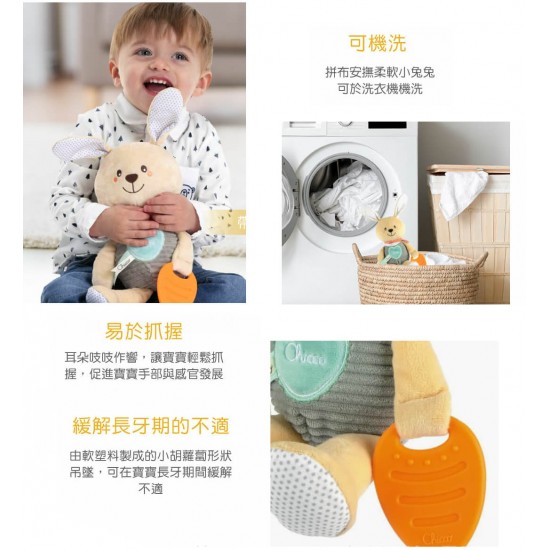 Chicco 抱抱小兔