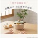 Combi 小熊鉑金矽膠吸盤餐碗