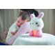 Combi 4合1安撫玩具 - Little Luna 兔子