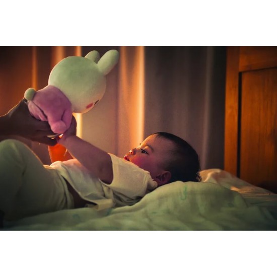 Combi 4合1安撫玩具 - Little Luna 兔子