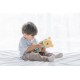 Combi 感知學習書 Little Malo