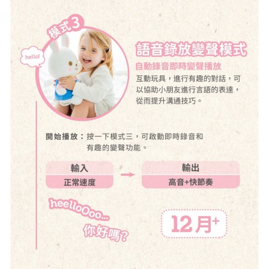 Combi 4合1 好朋友玩具 - 互動小兔