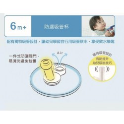 Combi 6m+ 防漏吸管杯 - 浪漫鬱金香 340ml 