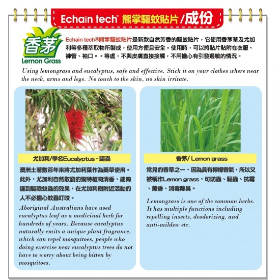 Echain 熊掌驅蚊貼 (60 片)